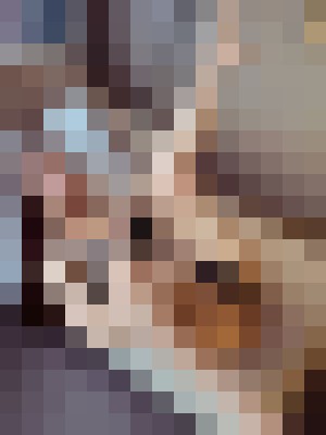Background image - blurred
