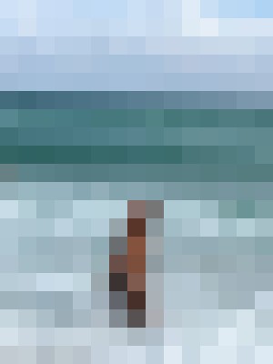 Background image - blurred