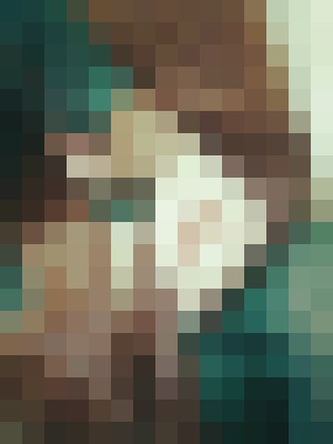 Background image - blurred