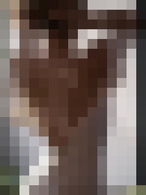 Background image - blurred