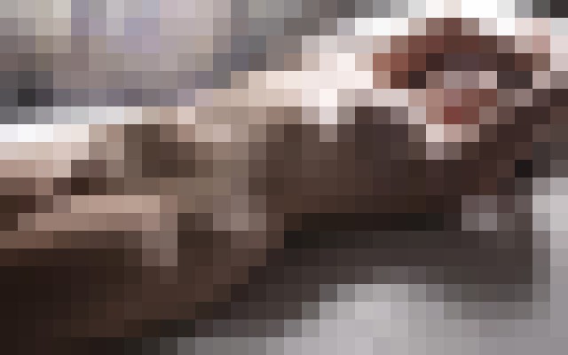 Kimber Dean Austin, Texas Escort, Pornstar, Verified Adult Service Provider, Companion in United States | 2