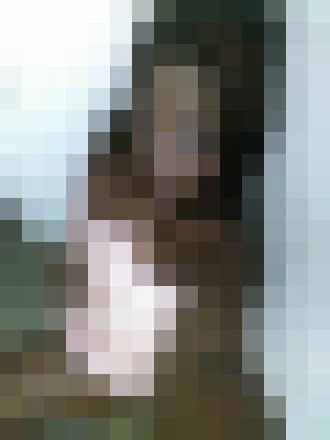 Background image - blurred