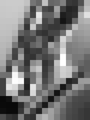 Background image - blurred