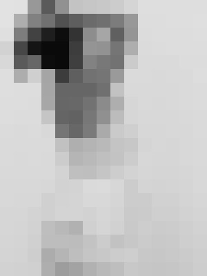 Background image - blurred