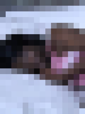 Background image - blurred