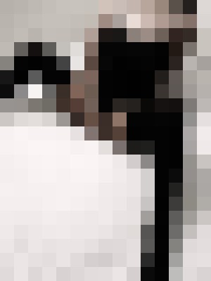 Background image - blurred