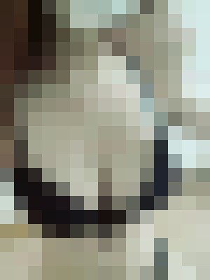 Background image - blurred