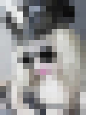 Background image - blurred