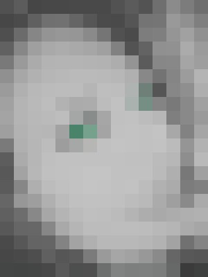 Background image - blurred