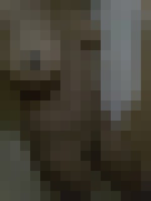 Background image - blurred