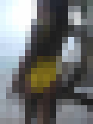 Background image - blurred