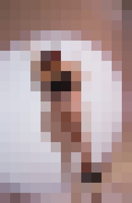 Cynthia Strong Seattle, Washington Escort, Pornstar, BDSM, Couple, Verified Adult Service Provider, Companion in United States | 2