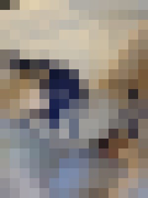 Background image - blurred