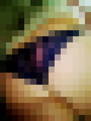 Background image - blurred