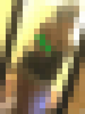 Background image - blurred