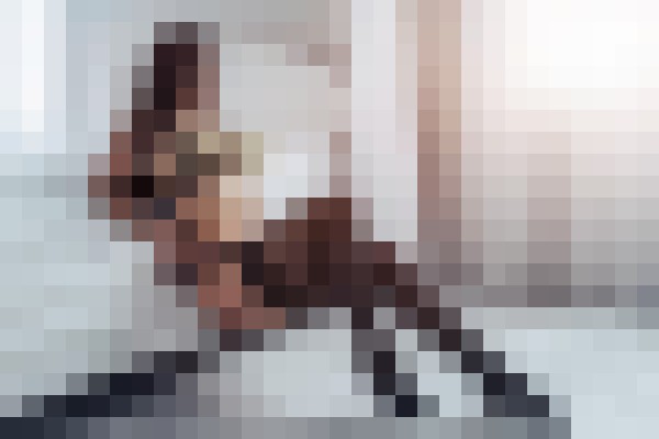 Background image - blurred