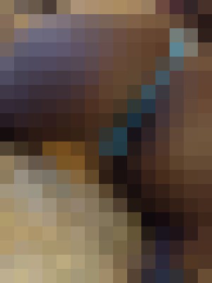 Background image - blurred