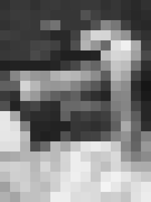 Background image - blurred