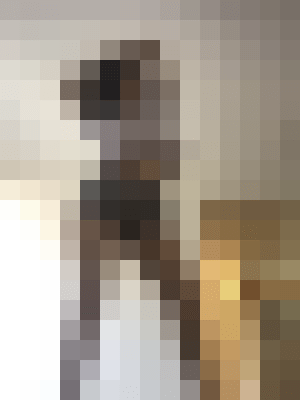 Background image - blurred