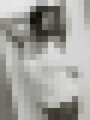 Background image - blurred