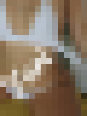 Background image - blurred