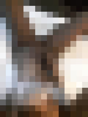 Background image - blurred