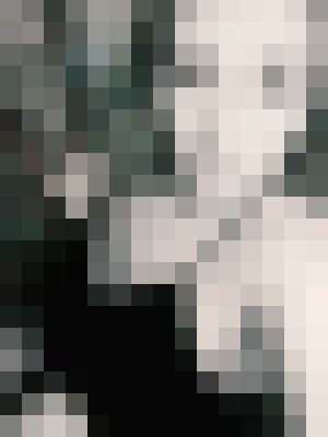 Background image - blurred