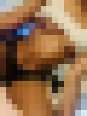 Background image - blurred