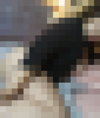 Background image - blurred
