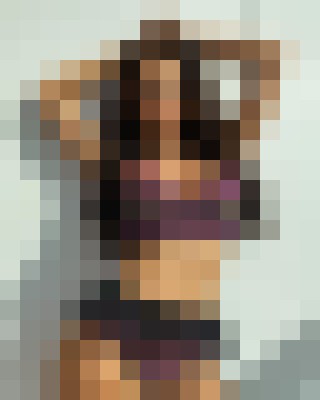 Escort-ads.com | Blurred background picture for agency susanjojo7