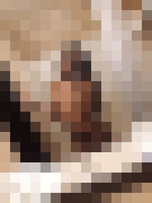 Background image - blurred