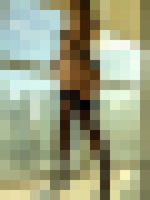 Background image - blurred