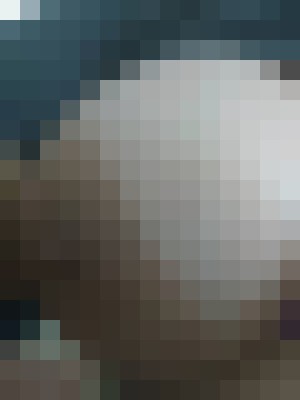 Background image - blurred