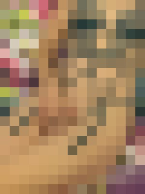 Background image - blurred