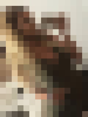 Background image - blurred