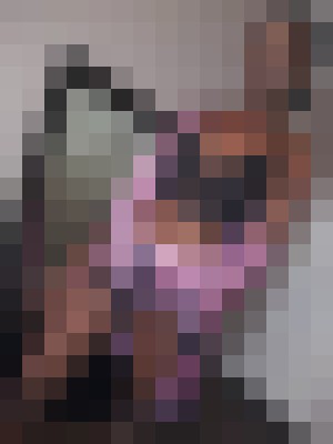 Background image - blurred