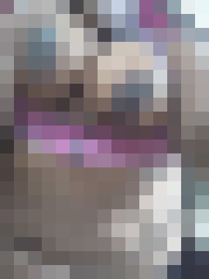 Naughty Nessa Stamford, Connecticut Escort, , Verified Adult Service Provider, Companion in United States | 4