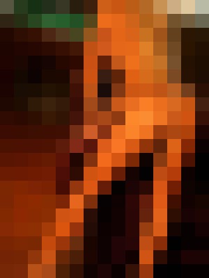 Background image - blurred