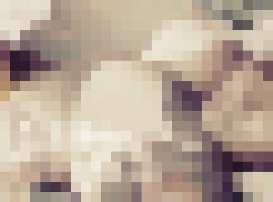 XlindseyX Phoenix, Arizona Escort, , Verified Adult Service Provider, Companion in United States | 2