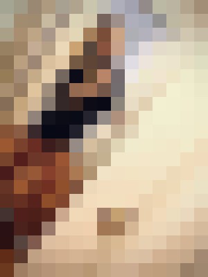 Background image - blurred