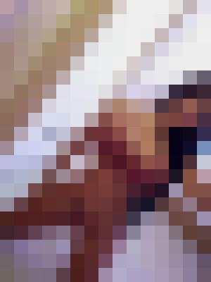 Background image - blurred