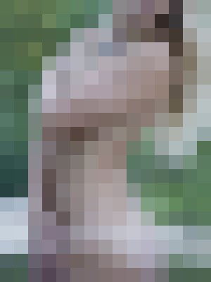 Background image - blurred