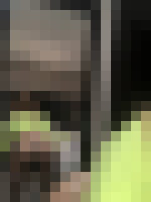 Background image - blurred