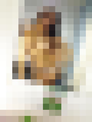 Aria323 Chicago, Illinois Escort, BDSM, DUO, Couple, Verified Adult Service Provider, Companion in United States | 3