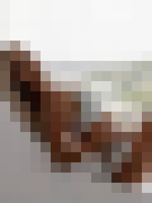Background image - blurred