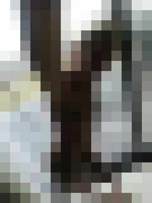 Background image - blurred
