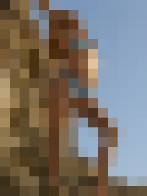 Background image - blurred