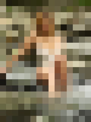 Background image - blurred