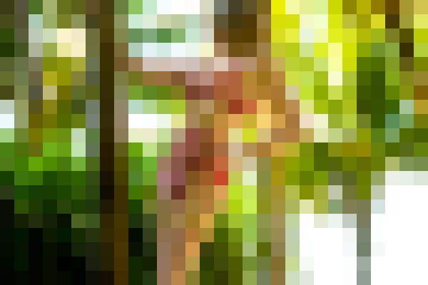 Megan. Lisbon Escort, , Verified Adult Service Provider, Companion in Portugal | 12