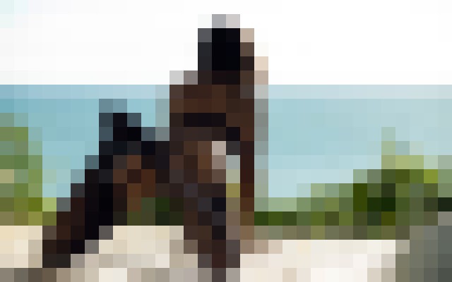 Background image - blurred